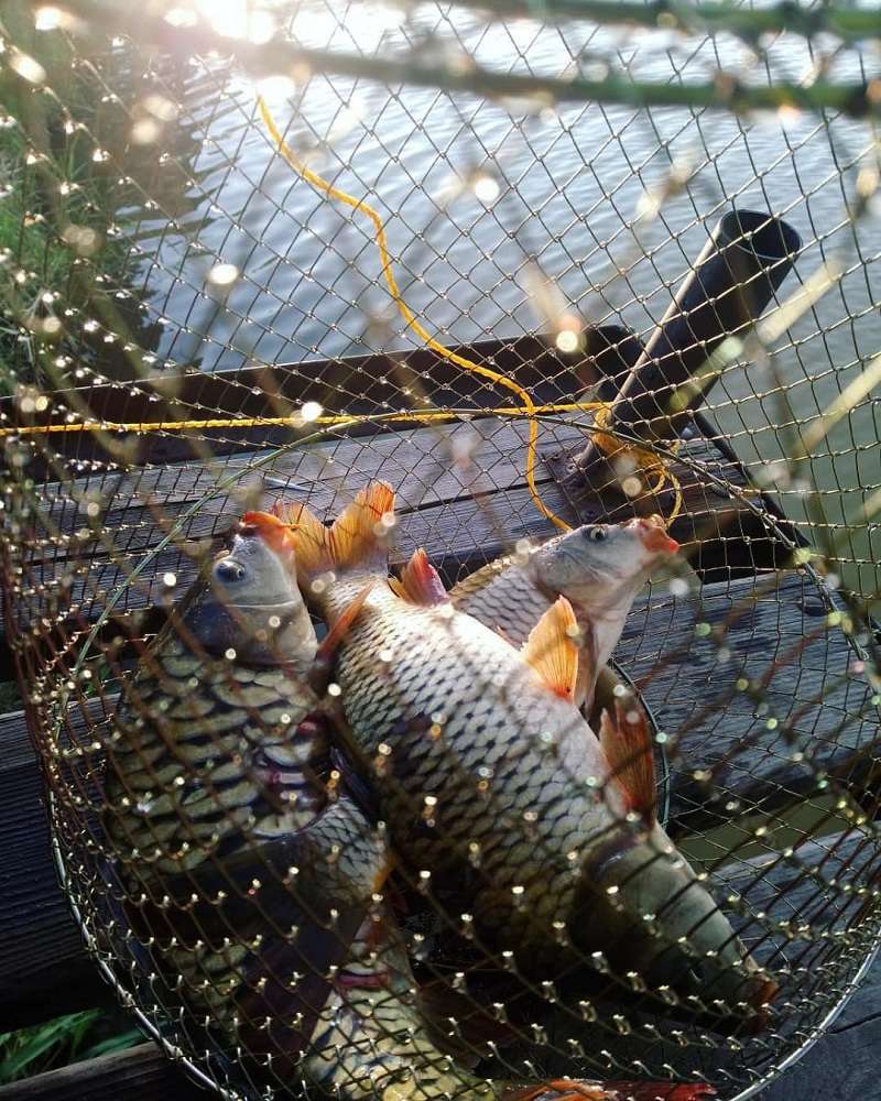 Усадьба Акшийская