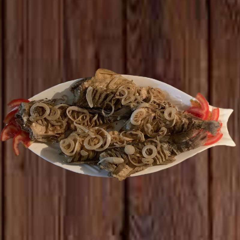 База отдыха PRIDE