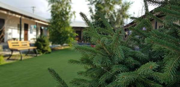 Зона отдыха Оркен