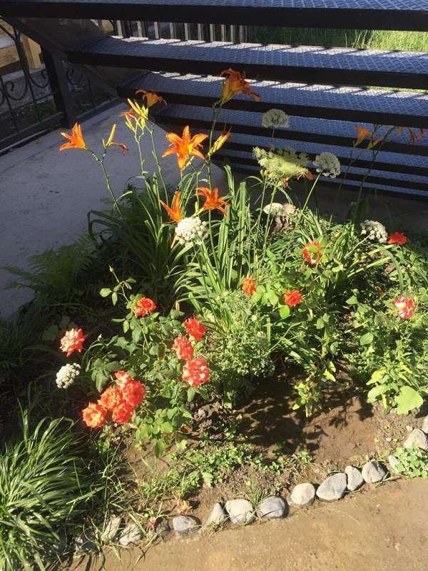 Зона отдыха Aiken Deluxe