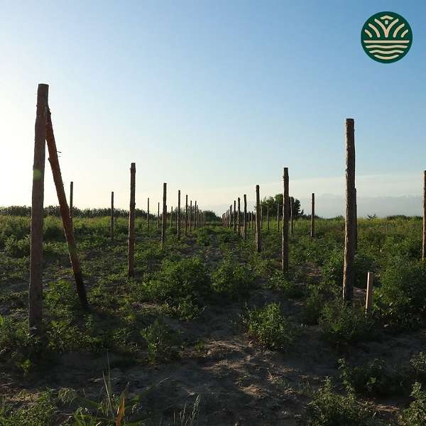 KAMISHY Eco Resort закрыто