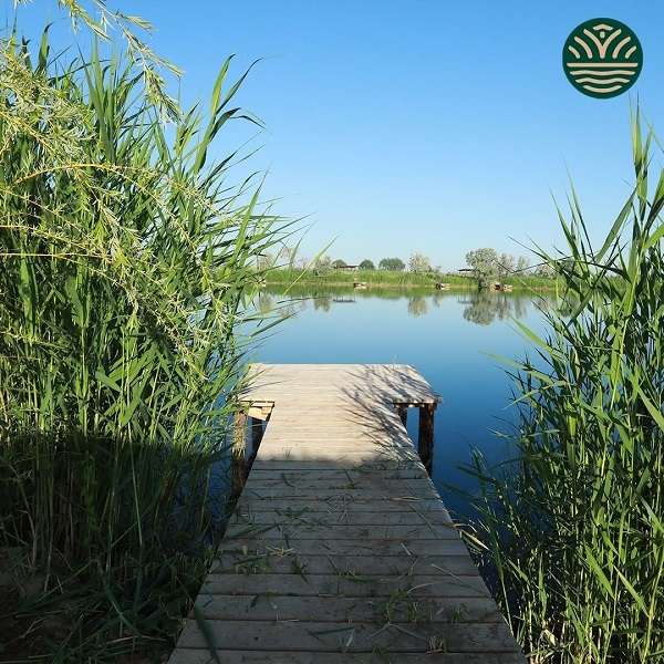 KAMISHY Eco Resort закрыто