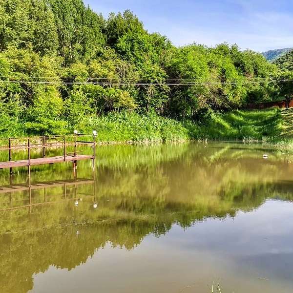 База Отдыха PovRest В 2025 году закрыто под лагерь