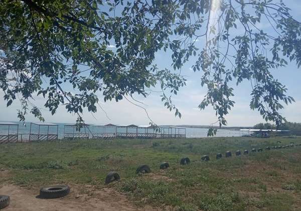 Медведь зона отдыха на Капчагае