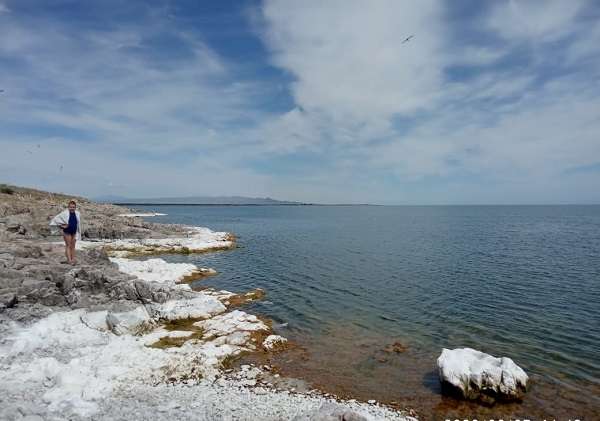 Медведь зона отдыха на Капчагае