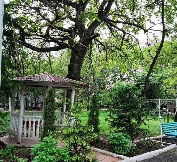 Гостиница Кок-Тюбе на день