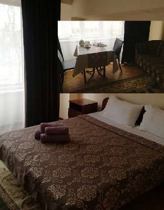 Гостиница Дорожник на день