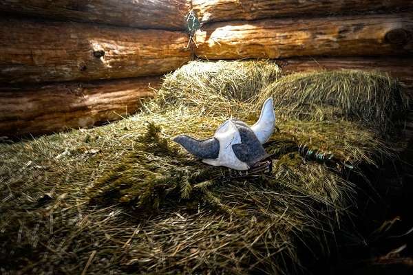 Банный комплекс Talhiz resort