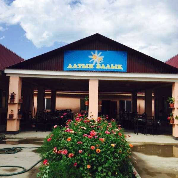 Недорогая база отдыха Алтын Балык (Золотая рыбка)