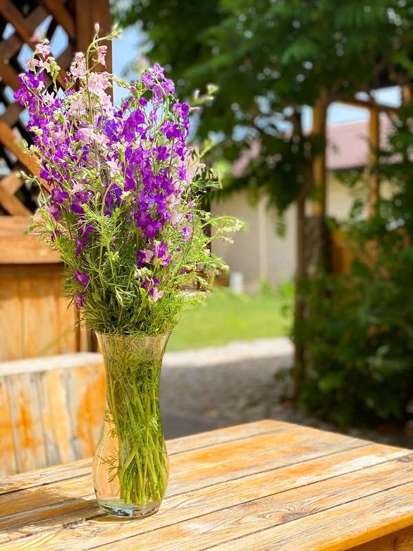 Атмосфера - гостевой дом