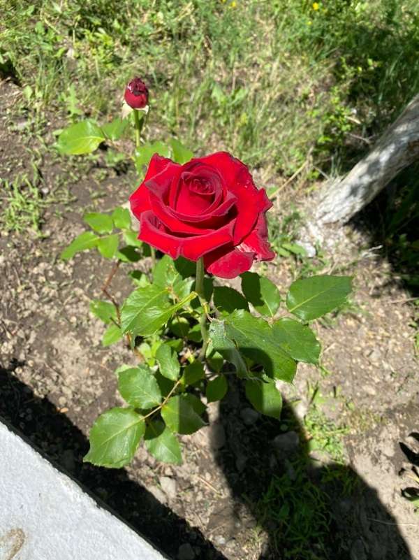 Зона отдыха МИД