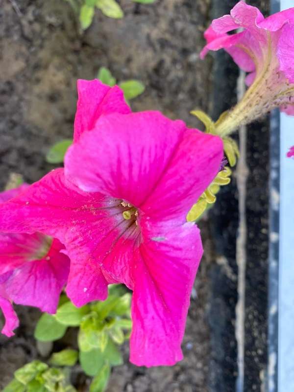 Зона отдыха МИД