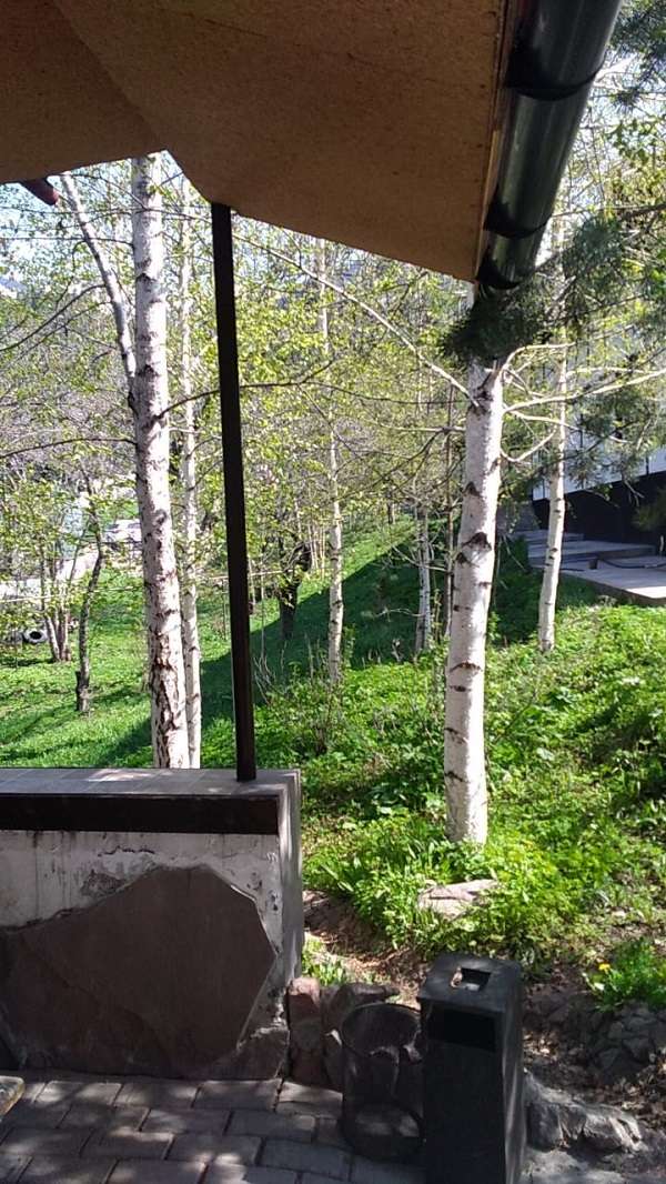 База отдыха BeeFree в горах Алматы