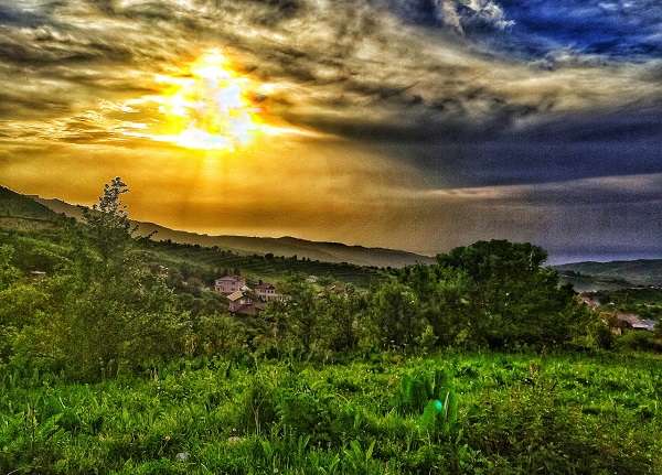 База отдыха BeeFree в горах Алматы