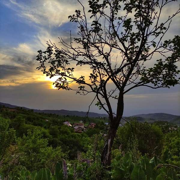 База отдыха BeeFree в горах Алматы