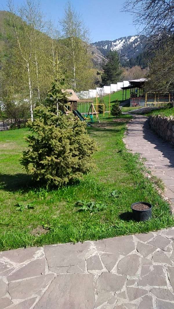 База отдыха BeeFree в горах Алматы