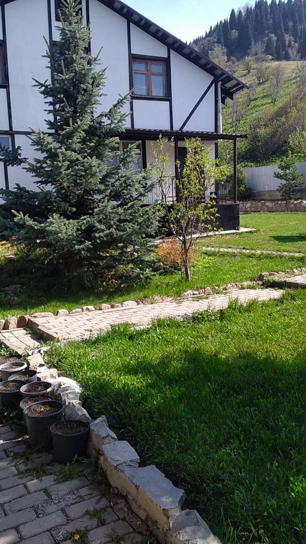 База отдыха BeeFree в горах Алматы