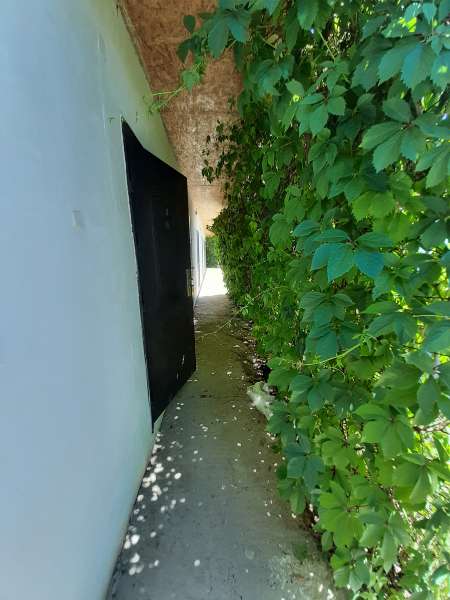 Зона отдыха Рахат