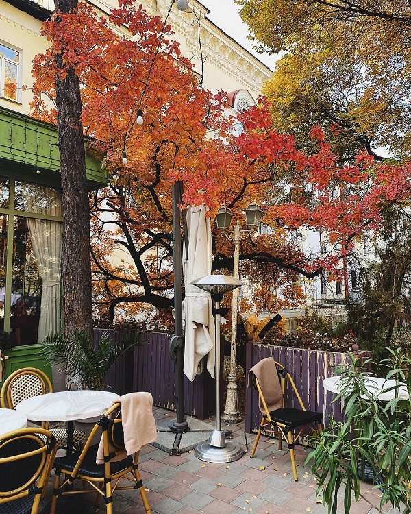 Чайная Арома