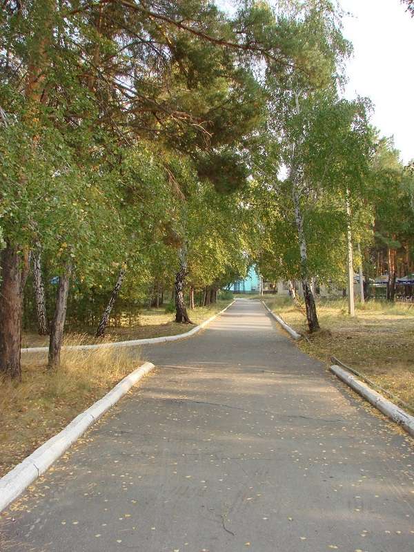 Санаторий Сосновый бор