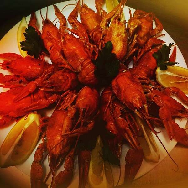 Пивной бар Вобла