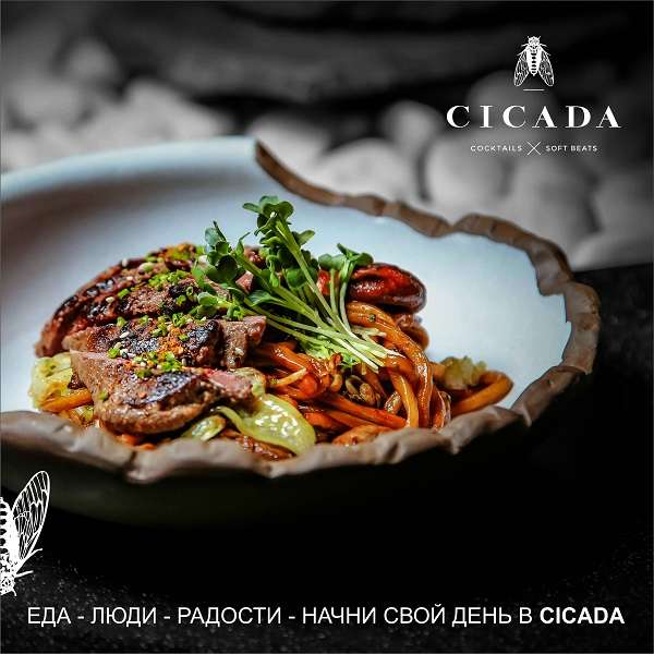 CICADA BAR