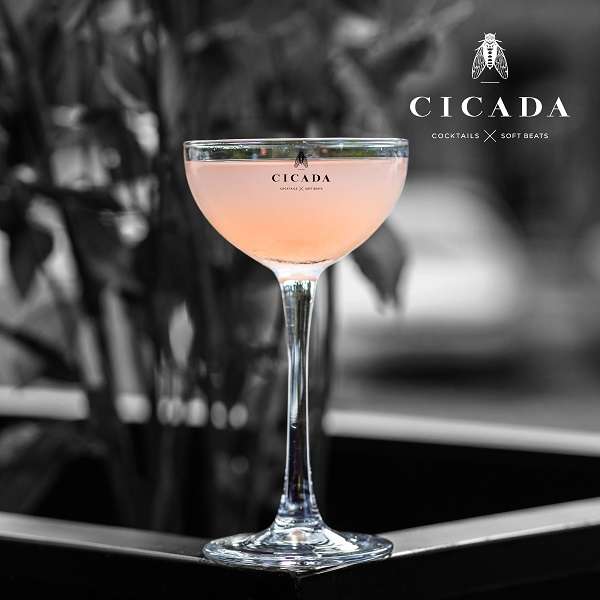 CICADA BAR
