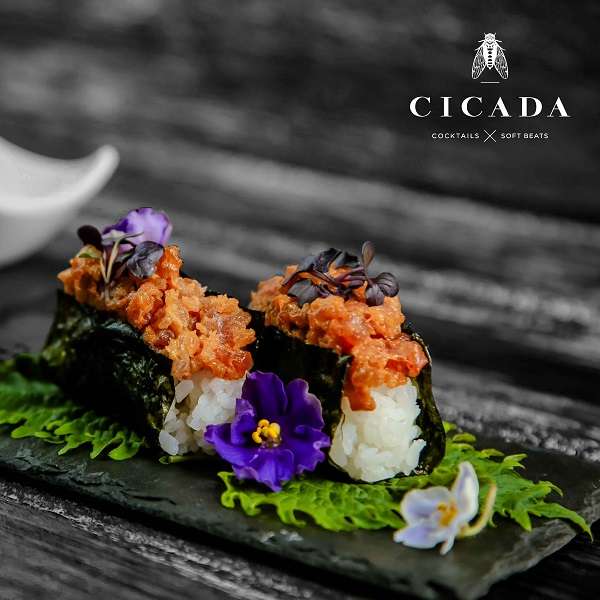 CICADA BAR
