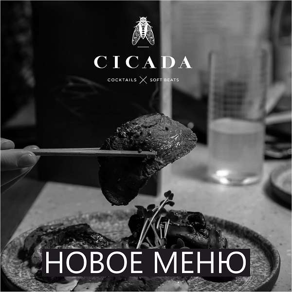 CICADA BAR