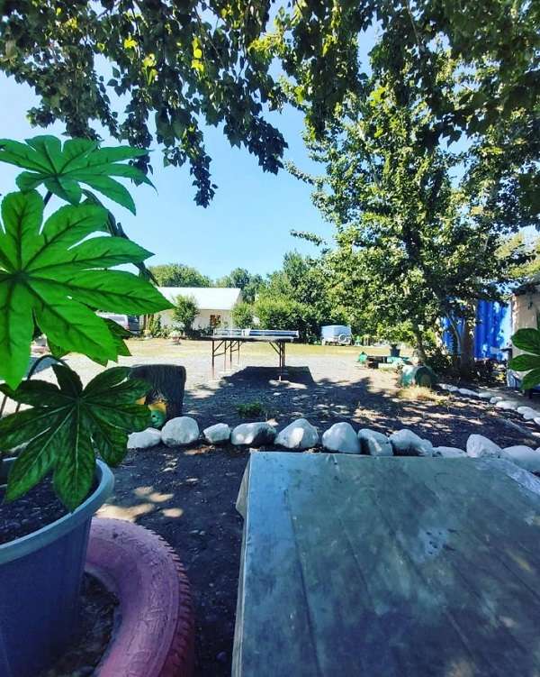 Недорогой отдых у Петровича