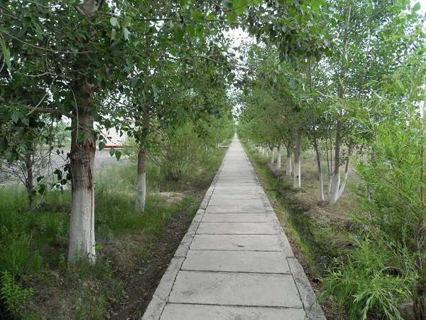 Турбаза эконом класса Алаколь