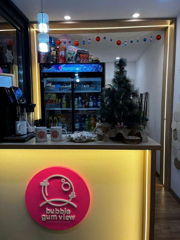 Панорамные стеклянные домики BubbleGumView