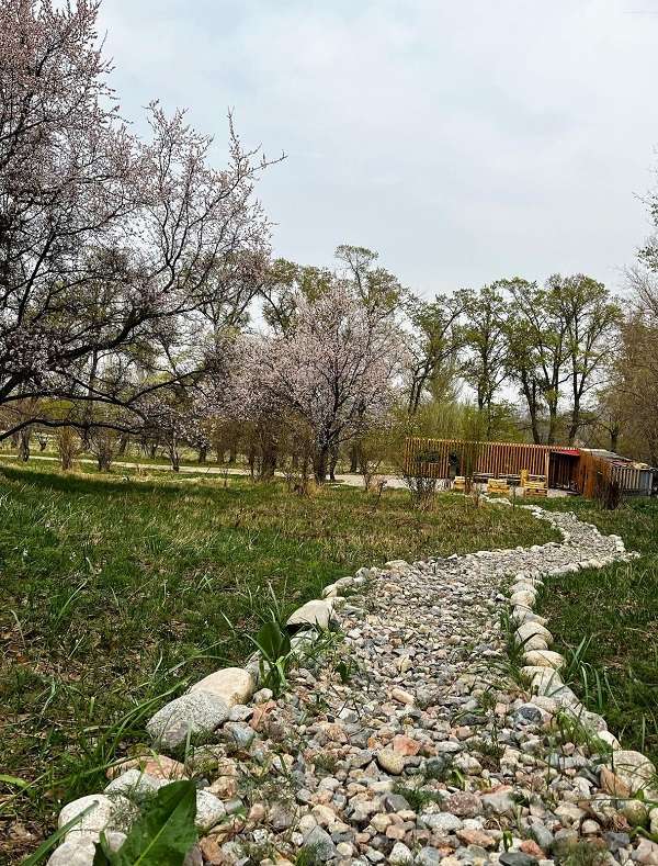 Панорамные стеклянные домики BubbleGumView