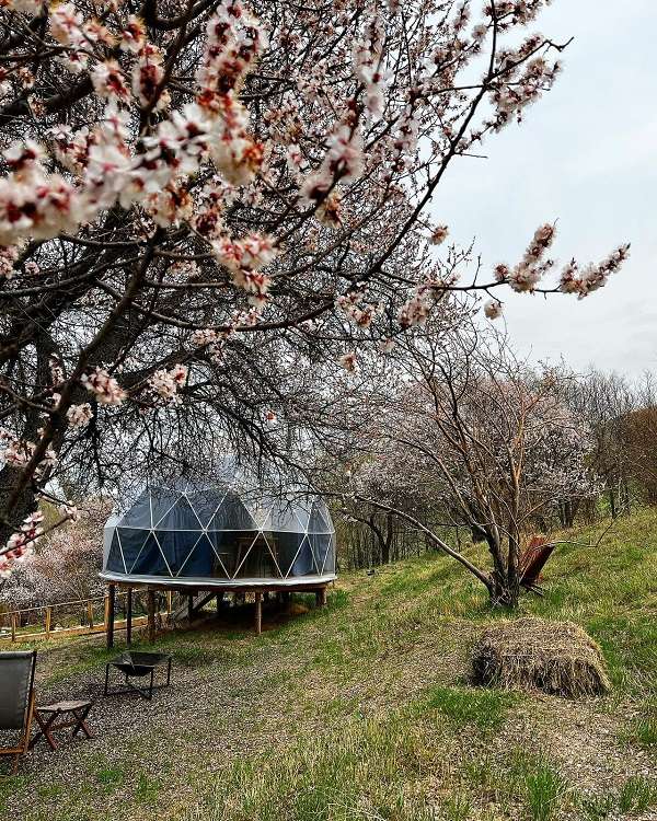 Панорамные стеклянные домики BubbleGumView