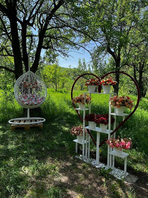 Панорамные стеклянные домики BubbleGumView