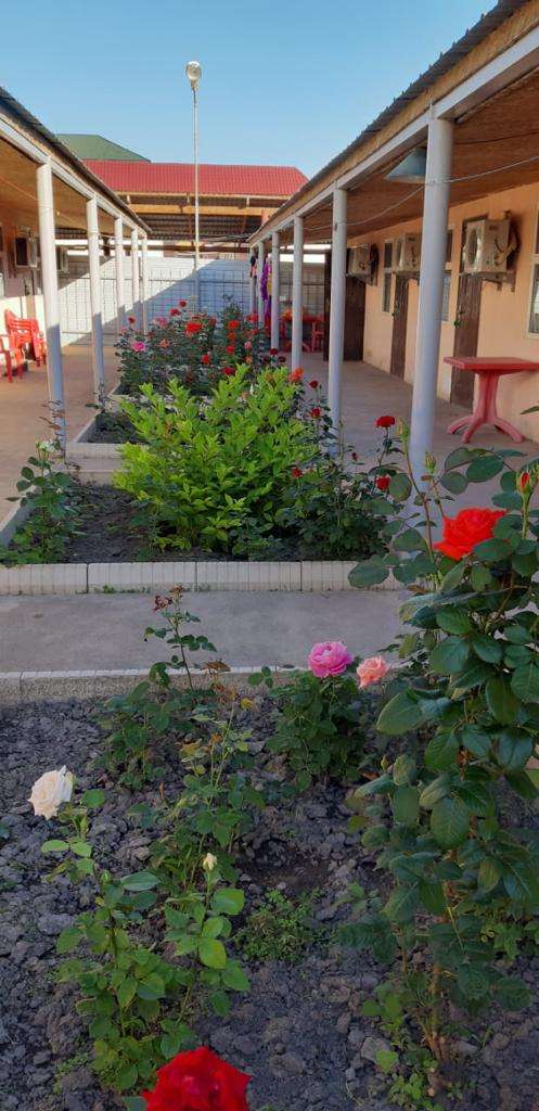 Фото старого корпуса