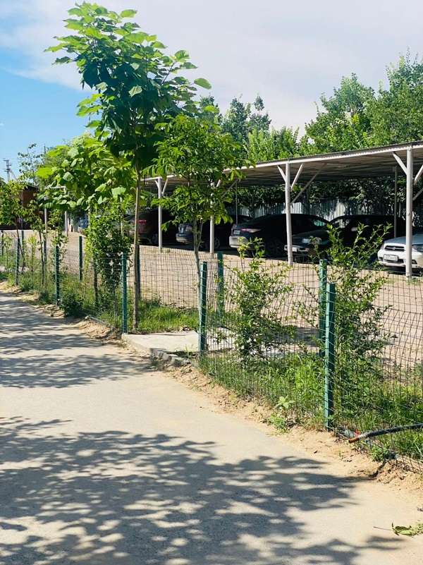 Зона отдыха Династия