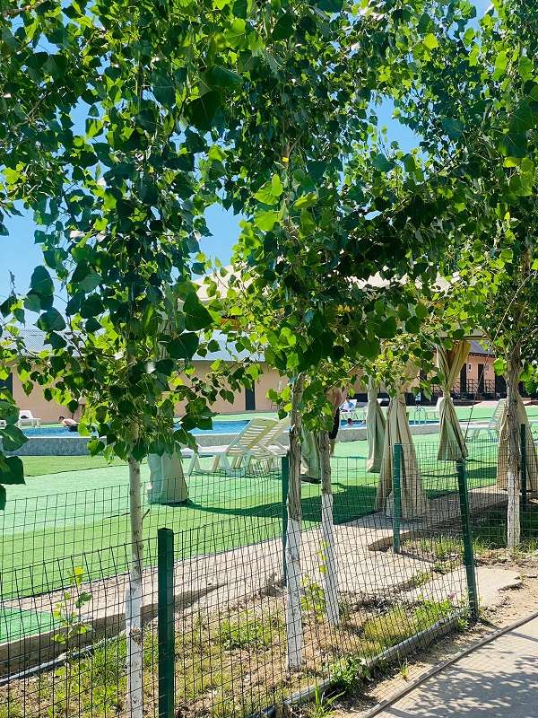 Зона отдыха Династия