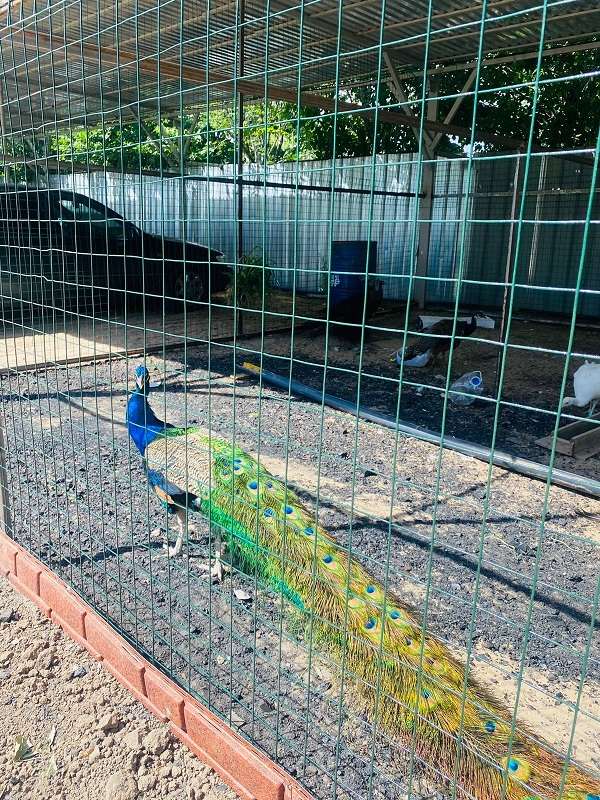 Зона отдыха Династия