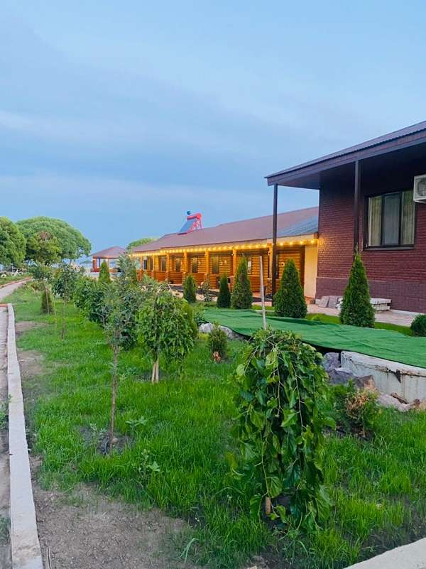 Зона отдыха Династия