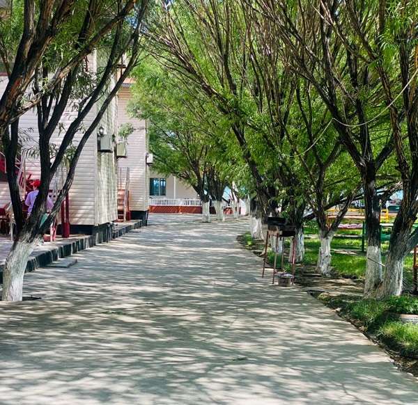 Зона отдыха Династия