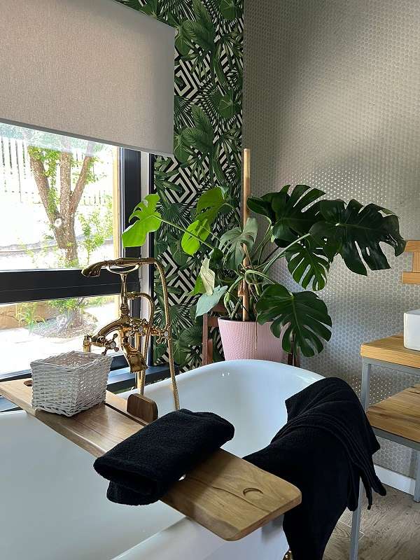 Ihouse домики в горах с бассейном