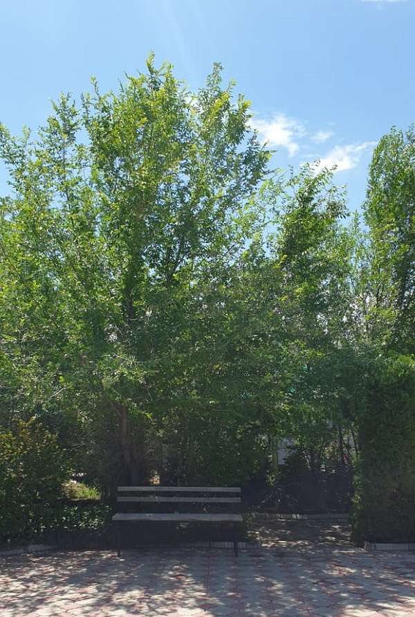 Holiday Капчагай