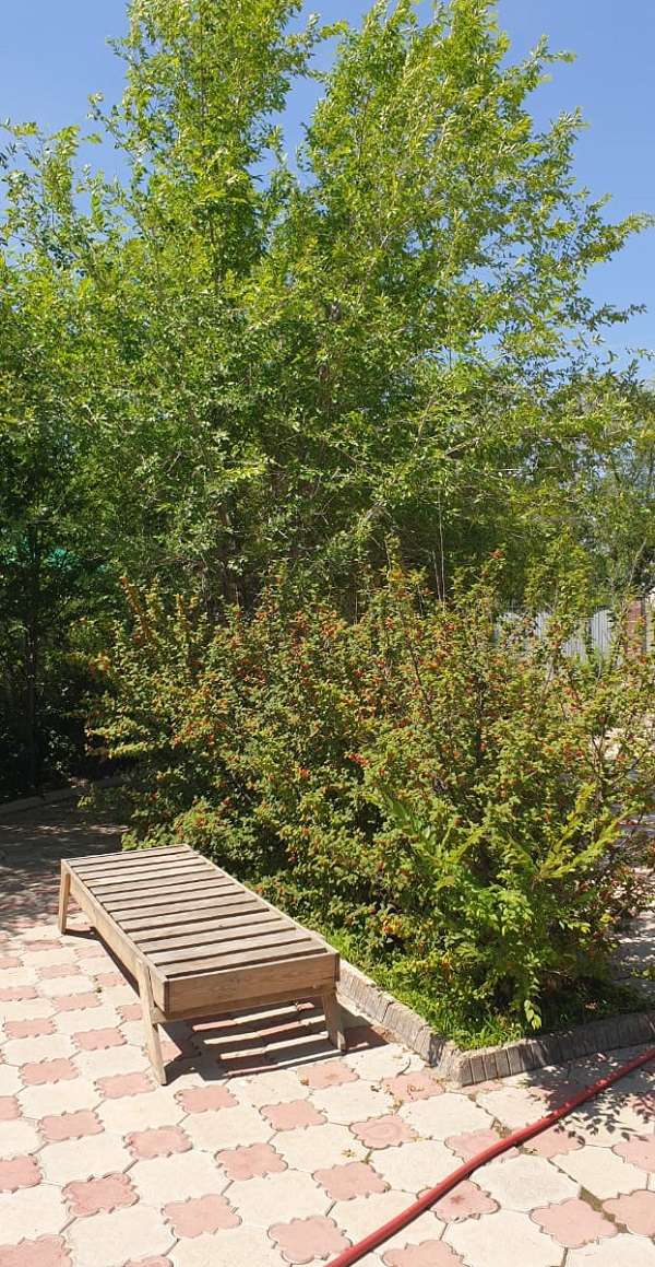 Holiday Капчагай