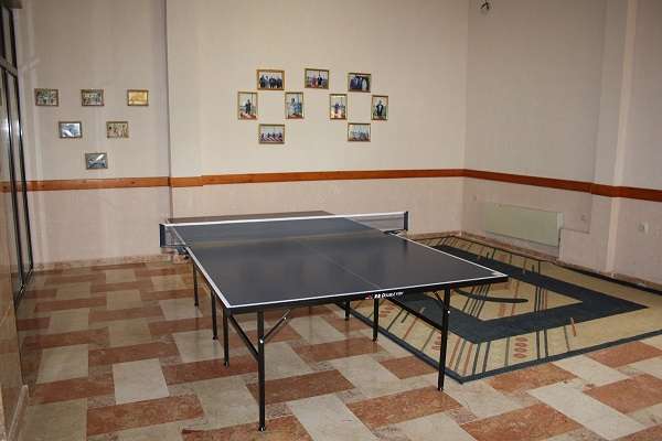 настольный теннис