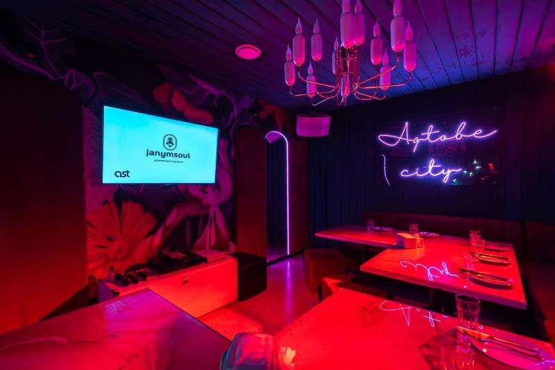 Караоке Janym Soul