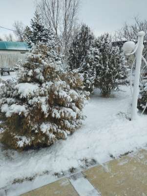 Гостевой Комплекс Релакс