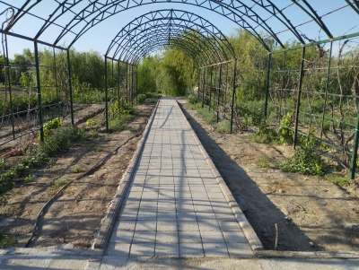 Гостевой Комплекс Релакс