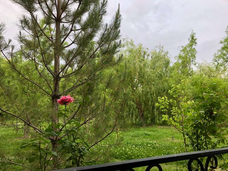 Гостевой Комплекс Релакс