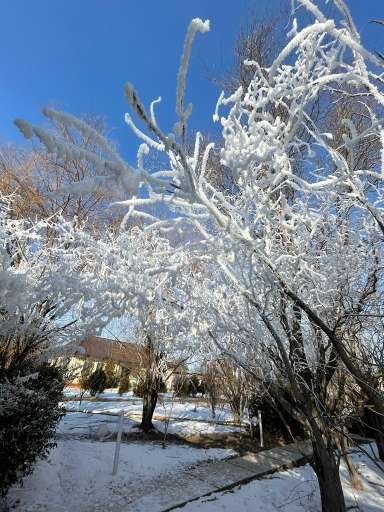 Гостевой Комплекс Релакс